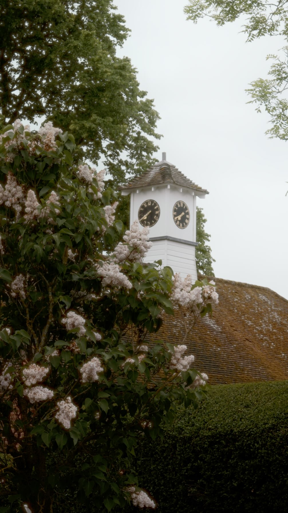 Still thinking about Mina & Callum’s wedding day, the laughter, the tears, the quiet in-between moments that said everything.
I genuinely love what I do. Being invited into such a personal, emotional day and turning it into something lasting is a privilege I don’t take lightly. Every couple has their own rhythm, their own story - and my job is to tell it in the most honest, beautiful way possible.
Here’s a little piece of their day, told through my lense 🎞️ Captured this footage alongside the wonderful and talented @emilymontay.photo
#londonweddingvideographer #weddingfilms #lovestory #whyilovewhatido #parklandsquendonhall